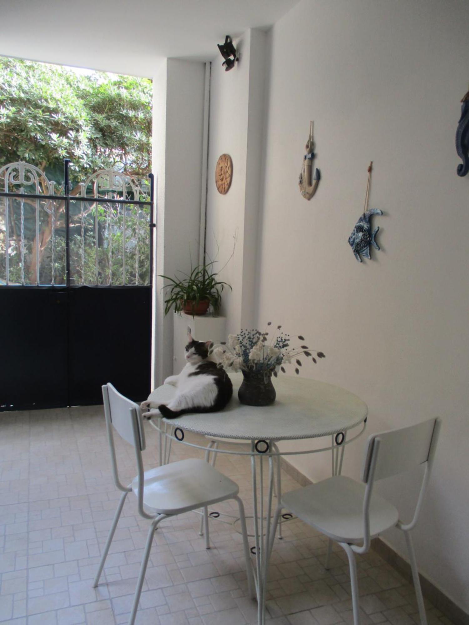 La Casa Del Nespolo Tranquillo Alloggio Vicino Alla Stazione San Remo Extérieur photo